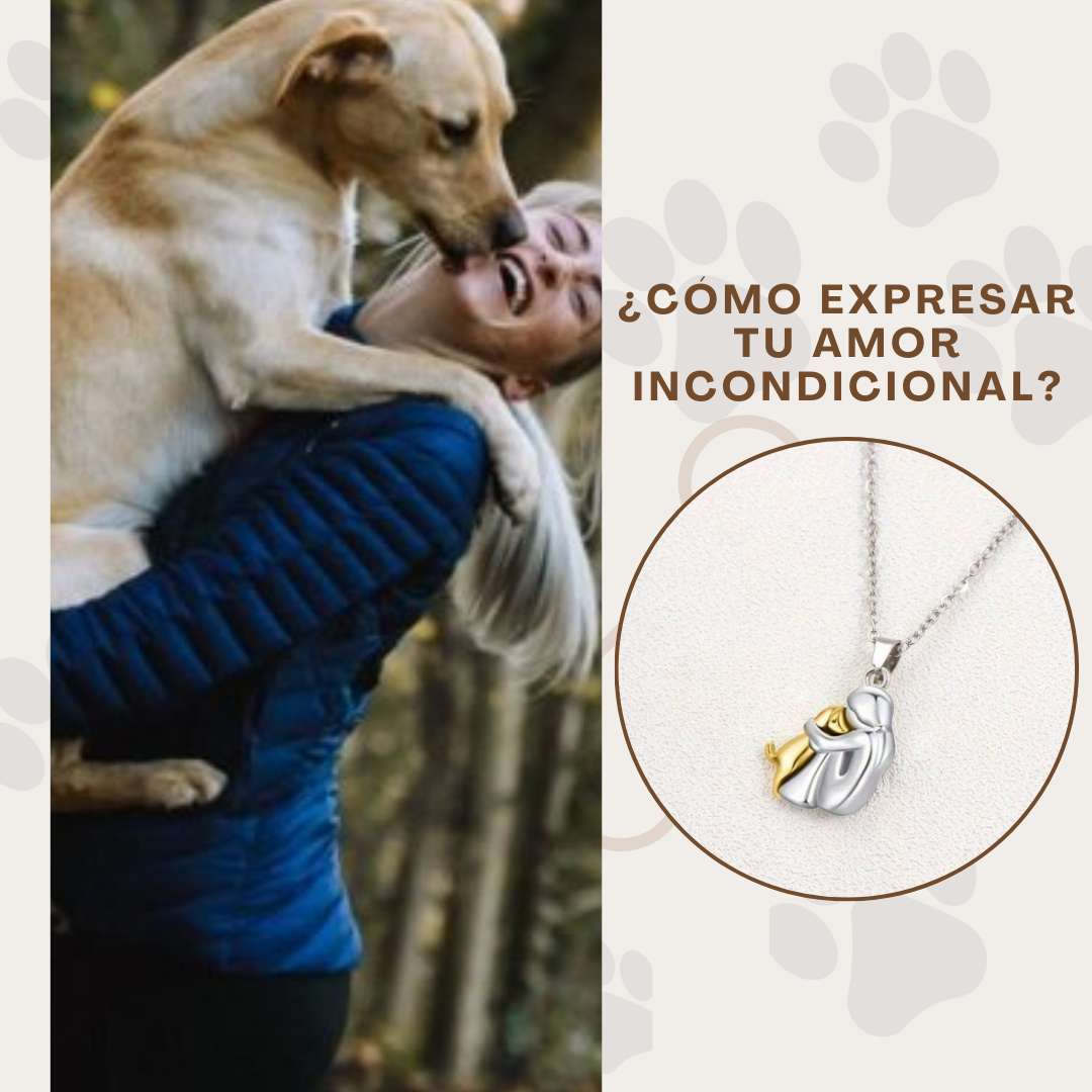 COLLAR AMOR PERRUNO